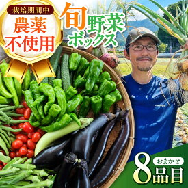 【ふるさと納税】旬のお野菜 ボックス 栽培期間中化学肥料・農薬不使用 / やさい 季節の野菜 / 白川町 / 五段農園[AWAW001]