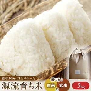 yӂ邳Ɣ[ŁzV \ R7NxY R̂ 5kg   Y  쒬 / Sunpo [AWBC007]
