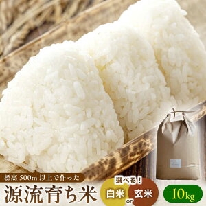 yӂ邳Ɣ[ŁzV \ R7NxY R̂   10kg Y  쒬 / Sunpo[AWBC008]