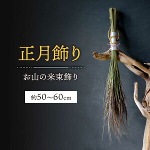 yӂ邳Ɣ[ŁzR̕đ 50`60cm  ߓ  {  쒬 / Sunpo[AWBC024]