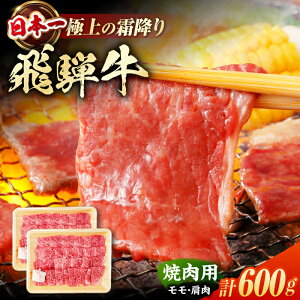 yӂ邳Ɣ[Łzˋ ēp E 600gi300g×2j/ ē  a / 쒬 / 䏤X[AWBJ001] ˋ 򕌌  ~ ē BBQ AEghA   XCX  Mtg 