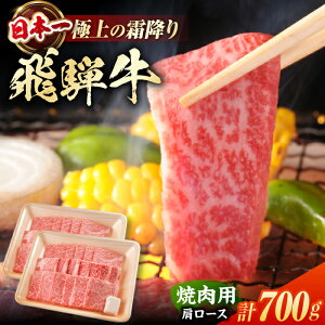 yӂ邳Ɣ[Łzˋ ēp@[X@700gi350g×2j/ ē  a / 쒬 / 䏤X[AWBJ002] ˋ 򕌌  ~ ē BBQ AEghA   XCX  Mtg