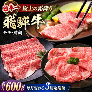 yӂ邳Ɣ[Łzy3ցz ˋ E 600g Ԃ ē Ă /  ˋ a / 쒬 / 䏤X[AWBJ008]