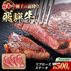 yӂ邳Ɣ[Łzy3ցz ˋ u[XXe[L v500gi3j/  u[X Xe[L  ~ / 쒬 / 䏤X[AWBJ030]