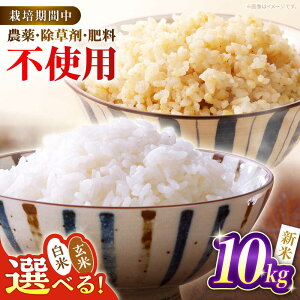 yӂ邳Ɣ[ŁzyNzV Iׂ锒or ΂ 10kg    Y  쒬 / ΂_[AWCB002]