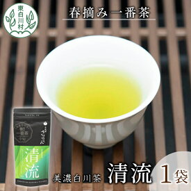 【ふるさと納税】 香りと味の調和 特選煎茶「清流-せいりゅう-」お試し1袋 80g 茶蔵園 緑茶 日本茶 煎茶 茶葉 お茶 東白川村 4000円