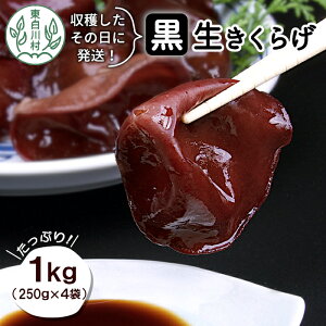 yӂ邳Ɣ[Łzn̓ɔI 쑺 炰 Ղ1kg Y ̂ LNQ ؎ Y 쑺 򕌌Y r^~D H@ ̂̑ 10000~