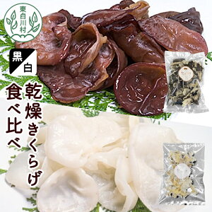 yӂ邳Ɣ[ŁzE 炰Hה׃Zbg v150g LNQ 炰 炰 炰 Y  炰 ؎ 炰 쑺 ؎ ؎ r^~D H@