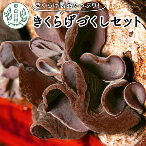 yӂ邳Ɣ[Łzm̂炰ÂZbg Y 쑺Y H@ 炰 炰 炰 炰 LNQ ؎ ώ 炰pE_[ Mq 쑺  18000~