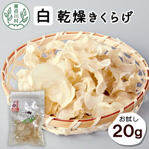 yӂ邳Ɣ[Łz 쑺Y  炰 z[ 20g Y ̂ 炰 炰 炰 LNQ ؎   r^~D H@ 3000~