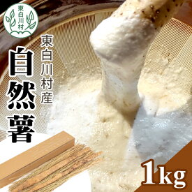 【ふるさと納税】【2024年12月発送】東白川村産 自然薯 1kg じねんじょ 岐阜県産 東白川村 長芋 新鮮 お取り寄せ 和食 15000円