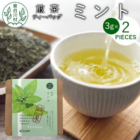 【ふるさと納税】煎茶ティーバッグ ミント 1袋 6g 3g×2個 東白川村産 岐阜県産 煎茶 上煎茶 ミント ティーバッグ お茶 日本茶 ティーバック ティーパック ホット アイス おためし 1000円 1000円ポッキリ お買い物マラソン 買い回り