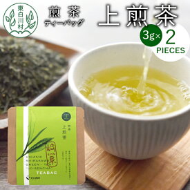 【ふるさと納税】煎茶ティーバッグ 上煎茶 1袋 6g 3g×2個 東白川村産 岐阜県産 煎茶 ティーバッグ お茶 日本茶 ティーバック ティーパック ホット アイス おためし 1000円 1000円ポッキリ お買い物マラソン 買い回り