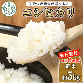 【ふるさと納税】 【数量限定・12月より順次発送】 令和6年産 コシヒカリ 5kg 選べる 精米 新米 東白川村産 岐阜県 白米 五分付き 玄米 お米 こめ 精米 ご飯 米 おにぎり 送料無料 返礼品 5000円 5千円