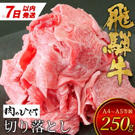 【ふるさと納税】【7営業日以内に発送】 飛騨牛 切り落とし 250g A5 A4 国産 牛 冷凍 お試し 和牛 牛肉 切落し 切り落し 訳あり 牛丼 すき焼き しゃぶしゃぶ 東白川村 岐阜 飛騨 贅沢 霜降り ロース バラ もも ウデ 【 肉のひぐち 】 5000円 五千円 ふるさと納税