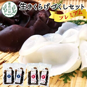 yӂ邳Ɣ[Łzv~AIm̂炰ÂZbg Y 쑺Y H@ 炰 炰 炰 炰 炰 LNQ ؎ ώ 炰pE_[ Mq