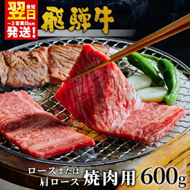 【ふるさと納税】 飛騨牛 ロースまたは肩ロース 焼肉用 600g 牛肉 和牛 肉 焼肉 BBQ ロース カタロース 肩ロース 東白川村 岐阜 贅沢 霜降り 養老ミート 20000円 楽天スーパーセール 最速発送
