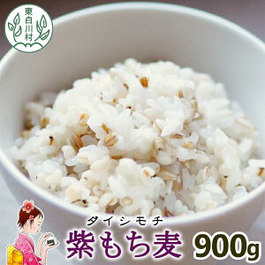 yӂ邳Ɣ[Łzyߘa7NxYz 쑺Y  _CV` 900g 1  H@  G     ߂ 5000~ }\  X[p[Z[ yVX