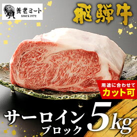 【ふるさと納税】 お好きなカット可能！飛騨牛 サーロインブロック 5kg 牛肉 和牛 肉 塊肉 サーロイン ステーキ すき焼き しゃぶしゃぶ 赤身 肉 牛 牛肉 鉄板焼き お祝い 贈答 ギフト 贈り物 岐阜 贅沢 霜降り 柔らかい ジューシー 養老ミート