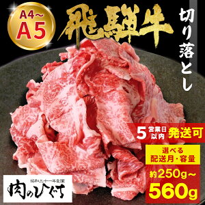 yӂ邳Ɣ[Łz ˋ ؂藎Ƃ 250g 560g A5 A4 Y  Ⓚ  a јa  ؗ ؂藎 󂠂  Ă Ԃ   [X o  Ef ̂Ђ 5