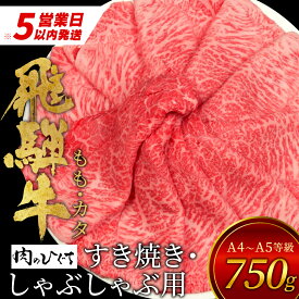 【ふるさと納税】 飛騨牛 もも カタ 750g すき焼き しゃぶしゃぶ A5 A4 国産 牛 冷凍 和牛 牛肉 かた カタロース 肩ロース もも肉 かた 赤身 ギフト 贈答 にく お肉 肉 東白川村 岐阜 飛騨 贅沢 霜降り 肉のひぐち 20000円 楽天スーパーセール 最速発送