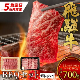 【ふるさと納税】 飛騨牛 BBQセット (カルビ300g＋もも・カタ焼肉用400g) 計700g A5 A4 国産 牛 冷凍 和牛 牛肉 カルビ もも モモ カタ 肩 かた 豪華 ギフト 贈答 にく お肉 肉 東白川村 岐阜 飛騨 贅沢 霜降り 赤身 肉のひぐち 20000円 二万円 楽天スーパーセール 最速発送