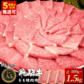 【ふるさと納税】 飛騨牛 もも 焼肉用 500g～1.5kg A5 A4 国産 牛 冷凍 和牛 牛肉 もも肉 モモ 焼き肉 やきにく 赤身 ギフト 贈答 おすすめ BBQ バーベキュー キャンプ にく お肉 肉 霜降り 肉のひぐち 年内発送【最速配送/発送時期が選べる】