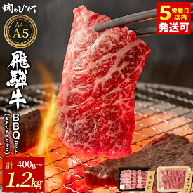 【ふるさと納税】 飛騨牛 BBQセット（カルビ・モモカタ） 400g～1.2kg A5 A4 国産 牛 冷凍 和牛 牛肉 カルビ もも モモ カタ 肩 かた 豪華 ギフト 贈答 にく お肉 肉 贅沢 霜降り 赤身 肉のひぐち 年内発送 【最速配送/発送時期が選べる】