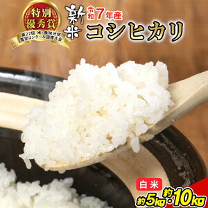 yӂ邳Ɣ[Łzʌ ē ߘa7NY RVqJ  5kg 10kg Iׂ e  V 쑺Y 򕌌      ɂ