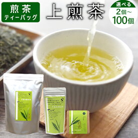 【ふるさと納税】煎茶ティーバッグ 上煎茶 2個 or 8個 or 8個×2袋 or 100個 東白川村産 岐阜県産 煎茶 ティーバッグ お茶 日本茶 ティーバック ティーパック ホット アイス おためし 大容量