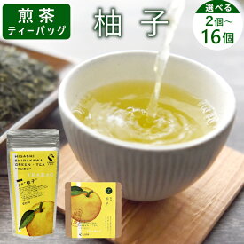 【ふるさと納税】煎茶ティーバッグ ゆず 2個 or 8個 or 8個×2袋 東白川村産 岐阜県産 柚子 煎茶 抹茶 ティーバッグ お茶 日本茶 ティーバック ティーパック ホット アイス おためし