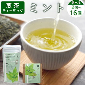 【ふるさと納税】煎茶ティーバッグ ミント 2個 or 8個 or 8個×2袋 東白川村産 岐阜県産 煎茶 上煎茶 ミント ティーバッグ お茶 日本茶 ティーバック ティーパック ホット アイス おためし