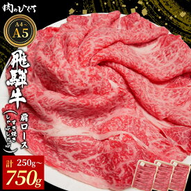 【ふるさと納税】【12月16日入金分まで年内発送】 飛騨牛 肩ロース スライス 250g～750g A5 A4 A5等級 A4等級 すき焼き しゃぶしゃぶ 国産 牛 冷凍 和牛 牛肉 カタロース かた ロース ギフト 贈答 にく お肉 肉 霜降り 肉のひぐち 年内発送 【最速配送/発送時期が選べる】
