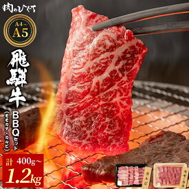 【ふるさと納税】【12月16日入金分まで年内発送】 飛騨牛 BBQセット（カルビ・モモカタ） 400g～1.2kg A5 A4 国産 牛 冷凍 和牛 牛肉 カルビ もも モモ カタ 肩 かた 豪華 ギフト 贈答 にく お肉 肉 贅沢 霜降り 赤身 肉のひぐち 年内発送 【最速配送/発送時期が選べる】