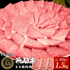 【ふるさと納税】【12月16日入金分まで年内発送】 飛騨牛 もも 焼肉用 500g～1.5kg A5 A4 国産 牛 冷凍 和牛 牛肉 もも肉 モモ 焼き肉 やきにく 赤身 ギフト 贈答 おすすめ BBQ バーベキュー キャンプ にく お肉 肉 霜降り 肉のひぐち 年内発送【最速配送/発送時期が選べる】