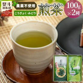 【ふるさと納税】農薬不使用！煎茶 ギフト NO.33 （こうぎょく100g＋みどり100g 計200g） お茶 常磐園 日本茶 緑茶 煎茶 茶葉 白川茶 美濃白川茶 農薬不使用栽培茶 一番茶 春摘み 大容量 岐阜県 東白川村 お取り寄せ 贈答用 プレゼント ギフトセット 6500円