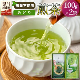 【ふるさと納税】農薬不使用！煎茶 ギフト NO.34（みどり100g×2 計200g） 敬老の日 お茶 常磐園 みどり こうぎょく 日本茶 緑茶 煎茶 茶葉 白川茶 美濃白川茶 農薬不使用栽培茶 一番茶 春摘み 大容量 岐阜県 東白川村 お取り寄せ 贈答用 プレゼント ギフトセット 5500円