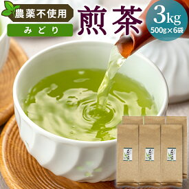 【ふるさと納税】農薬不使用！煎茶 みどり 3kg 常磐園 白川茶 美濃白川茶 日本茶 緑茶 煎茶 茶葉 お茶 一番茶 春摘み リーフ 国産 大容量 岐阜県 東白川村 進物用 家庭用