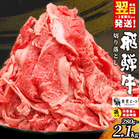 【ふるさと納税】 飛騨牛 切り落とし 280g 700g 1.4kg 2.1kg 訳あり 牛 黒毛和牛 牛肉 和牛 肉 お肉 切落し 不揃い 自宅用 赤身 脂身 霜降り 切り落し ブランド牛 国産 すき焼き 肉じゃが カレー 冷凍 養老ミート お試し 大容量 最速発送