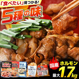 【ふるさと納税】＼5種類の味から選べる！／豚ホルモン みたけとんちゃん 最大1.76kg / 大容量 豚 ホルモン とんちゃん 白もつ 豚ホルモン 味付け 焼肉 BBQ おつまみ おかず 焼くだけ 人気 ホルモン ホルモン焼き ホルモン肉 岐阜県 御嵩町 / 藤よし [AVAA006]