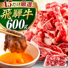 【ふるさと納税】＜選べる発送月＞飛騨牛 切り落とし 600g / 飛騨牛 肉 お肉 切落し 不揃い A5ランク 牛肉 岐阜県 / 御嵩町 / 肉のキング[AVAG019]