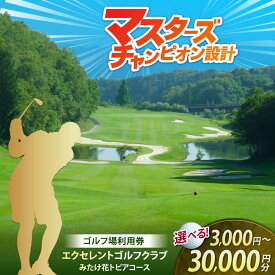 【ふるさと納税】ゴルフ プレーチケット エクセレントゴルフクラブ フレッド・カプルス設計 3千～3万円分 利用券 岐阜県 御嵩町 戦略的18ホール [AVAJ001]