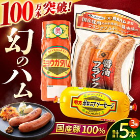 【ふるさと納税】明方ハム詰め合わせ Aセット / 明方 ハム 厚切り ボロニアソーセージ ハムステーキ 朝食 フランクフルト ウインナー BBQ ソーセージ フランク 箱入り ギフト / 岐阜県 御嵩町 / めぐみの農業協同組合 [AVBA001]