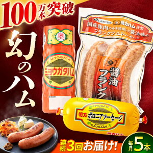 yӂ邳Ɣ[Łzy3ցznlߍ킹 AZbg /  n ؂ {jA\[Z[W nXe[L H tNtg ECi[ BBQ \[Z[W tN  Mtg / 