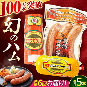 yӂ邳Ɣ[Łzy6ցznlߍ킹 AZbg /  n ؂ {jA\[Z[W nXe[L H tNtg ECi[ BBQ \[Z[W tN  Mtg / 
