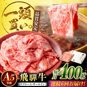 yӂ邳Ɣ[Łzy6ցzˋT[CEu[X 400g×1pbN ĂԂԗp / Ă Ԃ  / 䐓 / n͉[AVBO022]