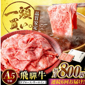 yӂ邳Ɣ[Łzy6ցzˋT[CEu[X 800g(400g×2pbN) ĂԂԗp / Ă Ԃ  / 䐓 / n͉[AVBO025]