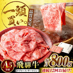 yӂ邳Ɣ[Łzy12ցzˋT[CEu[X 800g(400g×2pbN) ĂԂԗp / Ă Ԃ  / 䐓 / n͉[AVBO026]