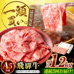 yӂ邳Ɣ[Łzy3ցzˋT[CEu[X 1.2kg(400g×3pbN) ĂԂԗp / Jr  ē / 䐓 / n͉[AVBO027]