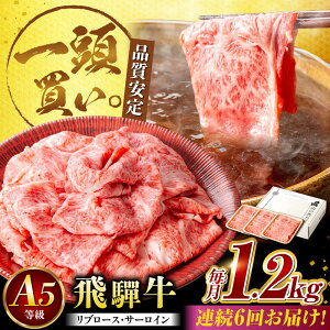 yӂ邳Ɣ[Łzy6ցzˋT[CEu[X 1.2kg(400g×3pbN) ĂԂԗp / Jr  ē / 䐓 / n͉[AVBO028]